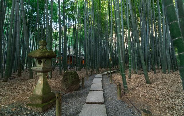 Hōkoku-ji